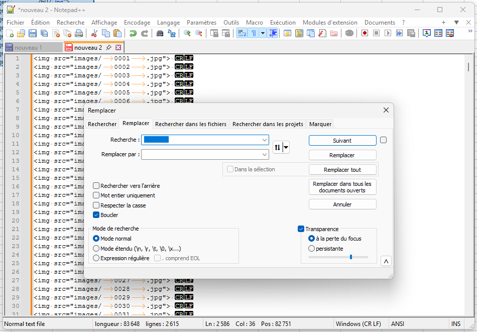 Capture d'&eacute;cran de Notepad++, fen&ecirc;tre Remplacer